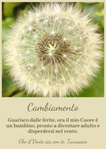 carte-oracolo-dei-fiori-di-campo-mazzo-da-31-carte