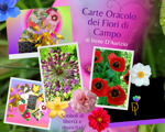 carte-oracolo-dei-fiori-di-campo-mazzo-da-31-carte