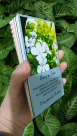 carte-oracolo-dei-fiori-di-campo-mazzo-da-31-carte