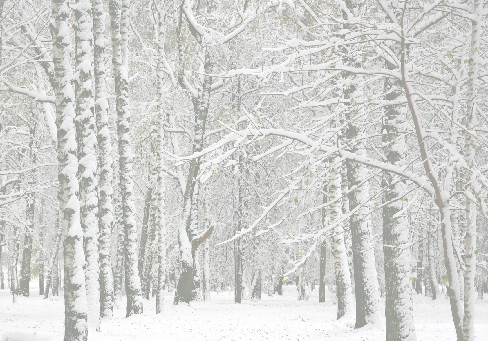 d746006f-1340-4111-9310-3b0e18eeb138