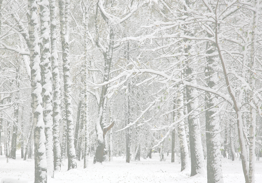 d746006f-1340-4111-9310-3b0e18eeb138