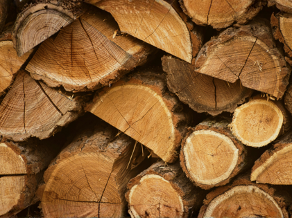 2542b743-9098-4734-af10-dd2c09a5d5aa