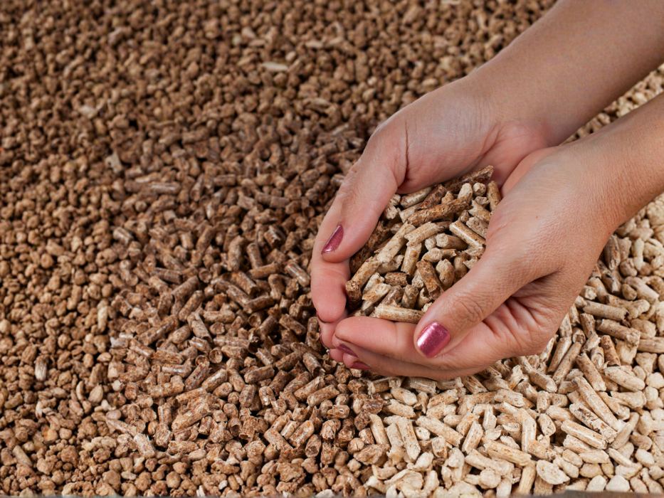 5805d762-b198-48b8-881d-261bc94cea67 5805d762-b198-48b8-881d-261bc94cea67