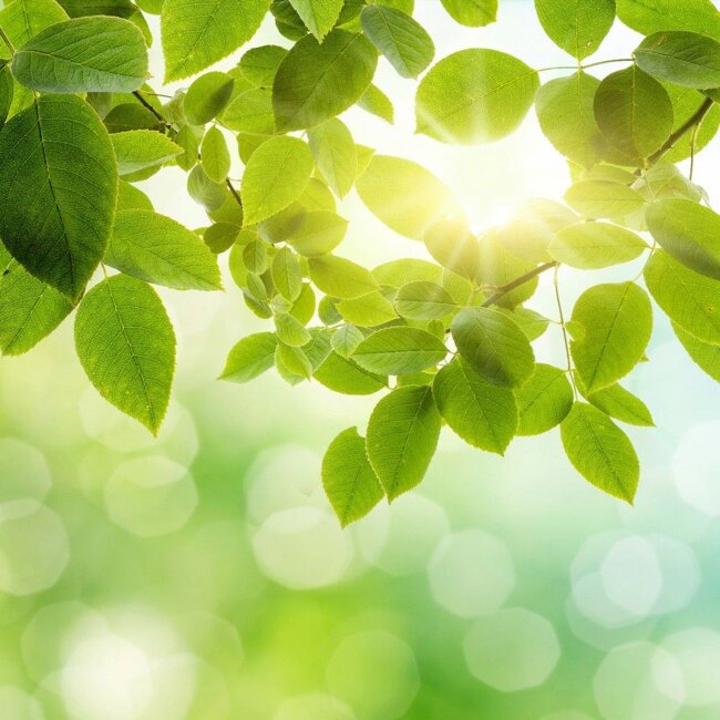 fe7701c9-82e0-48ed-8171-1d3bf8a7fb1f