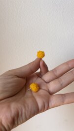 pom-poms-giallo-sole