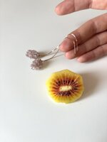 pendulea-rosa-sale-marino
