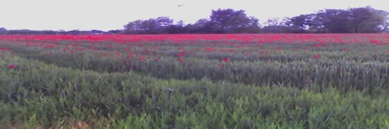 7da17c84-32db-48b0-8b2d-aff9a0f1123f 7da17c84-32db-48b0-8b2d-aff9a0f1123f