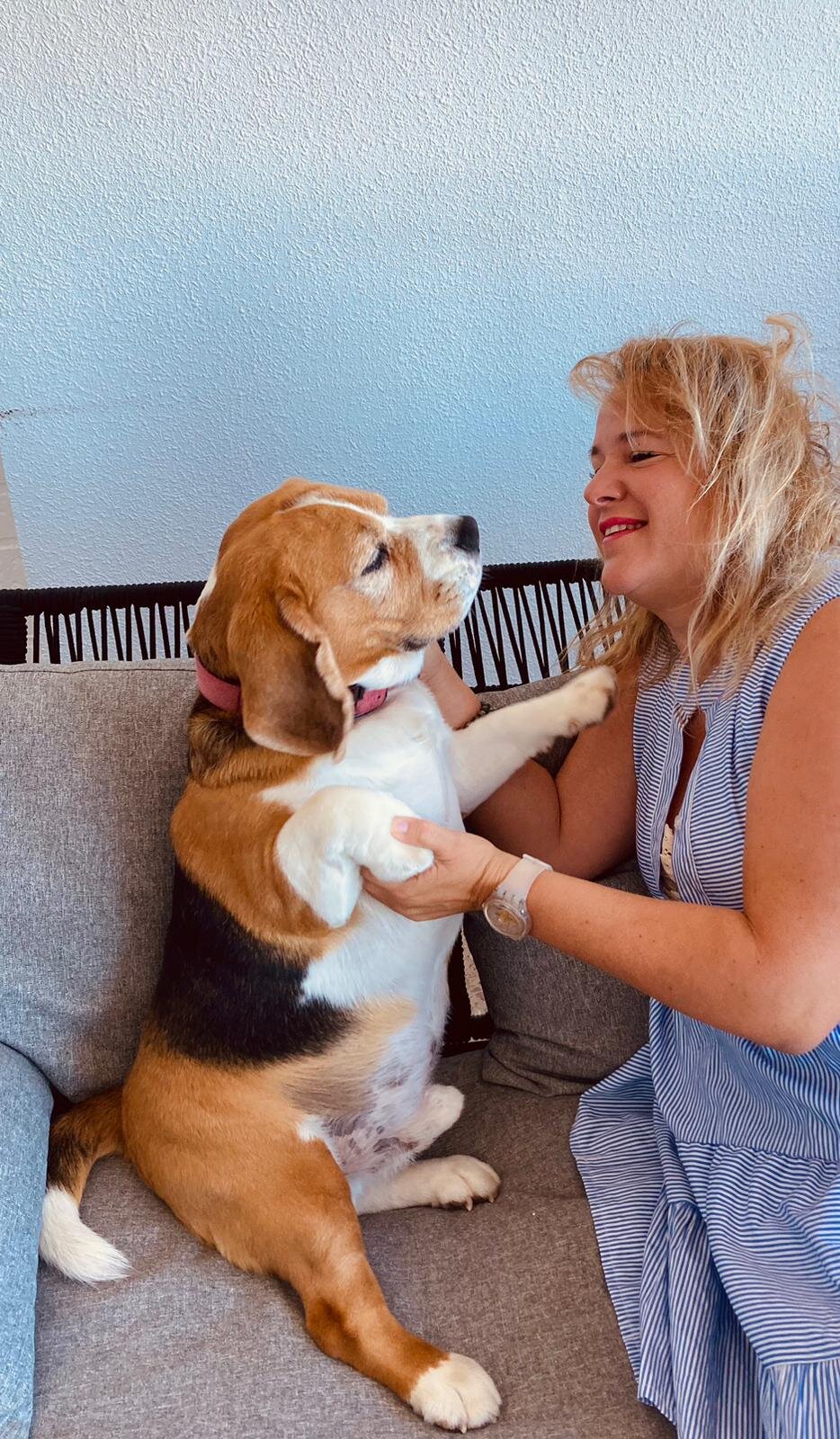 Benessere Canapa: Natura e Sostenibilit&agrave; per i Pet