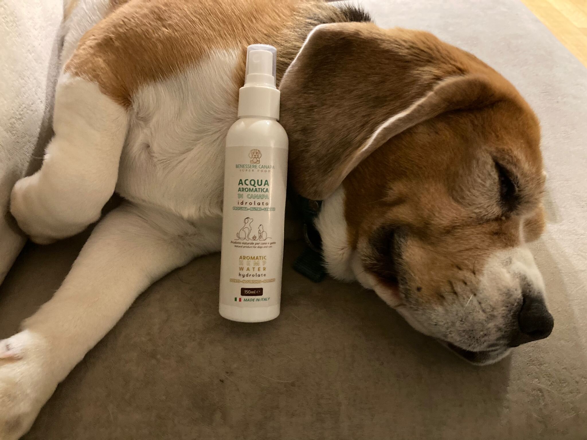 Terpeni di Canapa: Benefici Naturali per il Benessere degli Animali Domestici