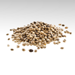 semi-di-canapa-per-uccelli