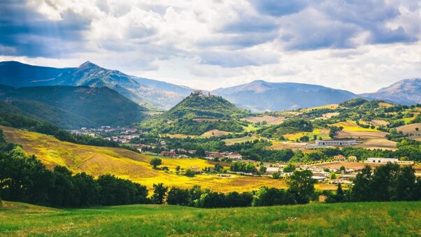 d47e8253-ba38-48c1-9f29-48bc26909981