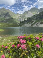 5de38708-8616-4006-89dd-f5775399f991