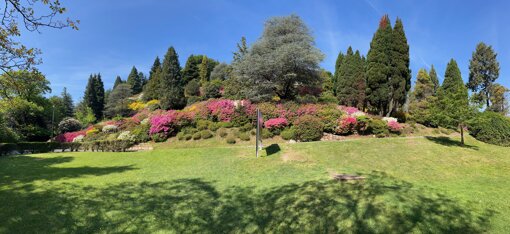 img_0048.jpeg