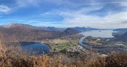 img_4260.jpeg img_4260.jpeg