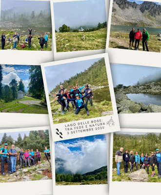 70120192-15b7-4e75-8d80-89713bb5d7e8