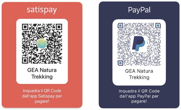 f58d8efd-2bc1-4055-8c15-bda8b1a72242 f58d8efd-2bc1-4055-8c15-bda8b1a72242