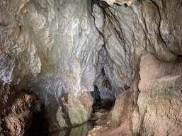 d6c560d1-50f6-458f-86c5-d7b0cfd7e25c