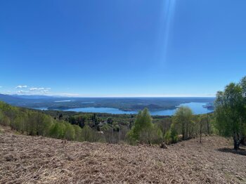 img_5256.jpeg