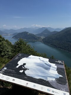 img_1133.jpeg