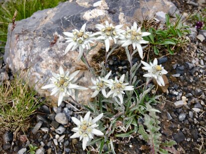 4aeabd46-2388-48df-87e8-090b5d4b9b6c 4aeabd46-2388-48df-87e8-090b5d4b9b6c