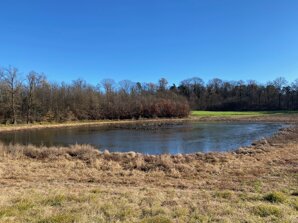 img_3731.jpeg