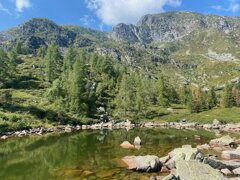 img_9696.jpeg