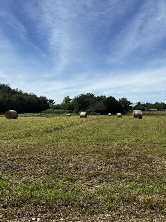 img_6964.jpeg