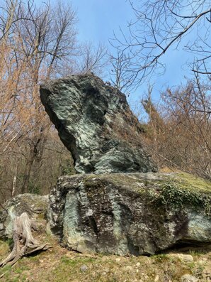 img_3459.jpeg