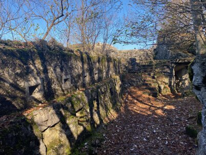 c3b1c137-1dc4-42a9-9768-a249112ab34e.jpeg c3b1c137-1dc4-42a9-9768-a249112ab34e.jpeg