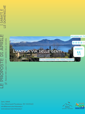 motte%20d'oro motte%20d'oro