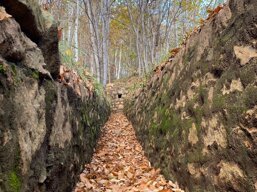 ef06bfbe-d27b-4a8f-b564-13117c8cbe72 ef06bfbe-d27b-4a8f-b564-13117c8cbe72