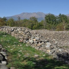 b0b45e9a-2151-4eca-a37a-8999b8b8862d-scaled-e1626950006250-800x800.jpeg b0b45e9a-2151-4eca-a37a-8999b8b8862d-scaled-e1626950006250-800x800.jpeg