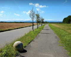 0b4f3195-4848-4c3d-a0ff-6843a8c80aeb.jpeg 0b4f3195-4848-4c3d-a0ff-6843a8c80aeb.jpeg