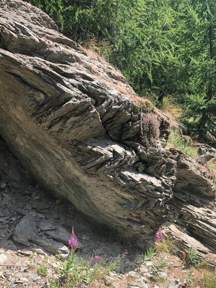 302353b2-5f8c-4474-b962-b0735aca70c2 302353b2-5f8c-4474-b962-b0735aca70c2