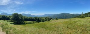 img_6227.jpeg