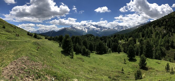 b8ceccd0-c6e7-453d-815b-e5288da04149 b8ceccd0-c6e7-453d-815b-e5288da04149