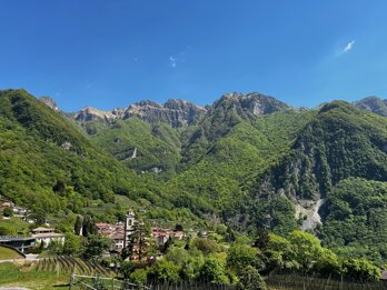 img_9352.jpeg