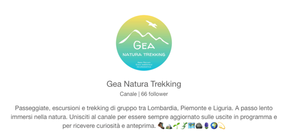 575a7e49-7ae5-4cf1-941c-e430e707b9b8