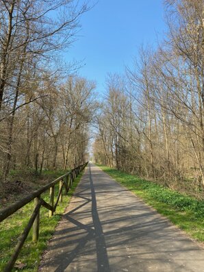 img_7107.jpeg
