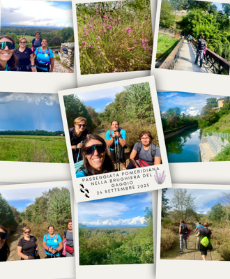 ec401ec5-f354-4361-9270-56cb15edae04