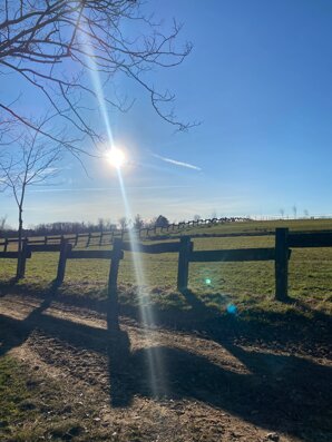img_5616.jpeg