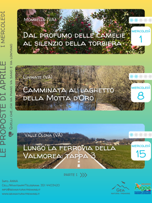 calendario%20mercoledi%20parte%202 calendario%20mercoledi%20parte%202