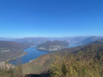 img_1019.jpeg