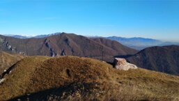 c48e2092-7b4a-456a-8206-9d7f07aabe77