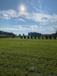 img_1717.jpeg