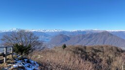 42f90695-c779-4d0f-87f9-f3a3073648c7.jpeg 42f90695-c779-4d0f-87f9-f3a3073648c7.jpeg