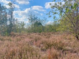 928079f5-9e32-4c47-954d-c1ad4d4811f3