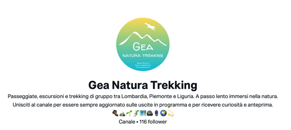 screenshot 2026-06-09 alle 18.53.00