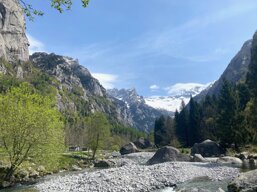 5b3353bb-f948-4316-9837-82cfa6906e11