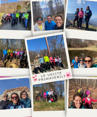 081241f6-8e03-4d73-81f2-f56a55034c5c